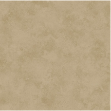 Линолеум коммерческий Profi Premium TAAL 2_121M Линолеум коммерческий Profi Premium TAAL 2_121M